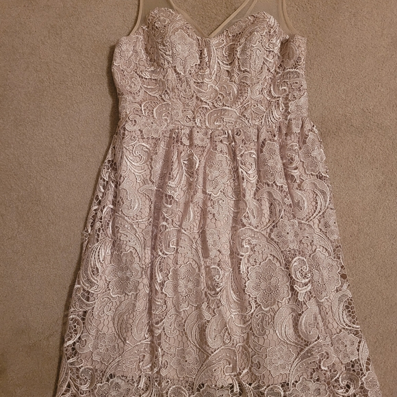 Adrianna Papell Elegant Lace Cocktail Dress in Cream - Picture 2 of 6